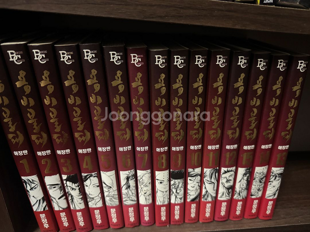 용비불패 애장판 + 외전--0