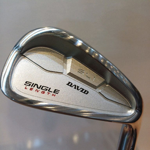 데이비드 싱글랭스 아이언