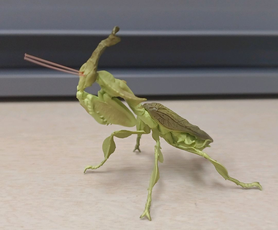 생물도감.데시타카 낙엽 사마귀,풀무치, 유령사마귀--1