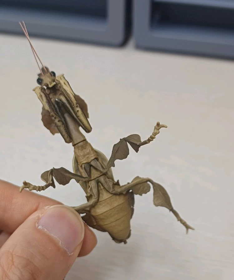 생물도감.데시타카 낙엽 사마귀,풀무치, 유령사마귀--9