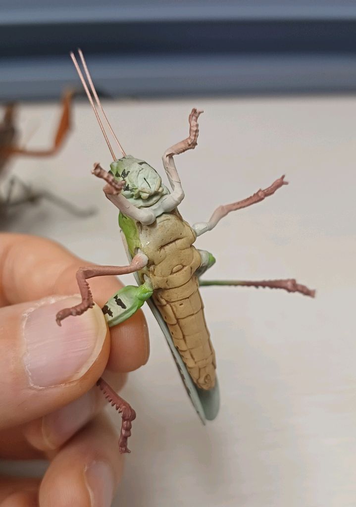 생물도감.데시타카 낙엽 사마귀,풀무치, 유령사마귀--7