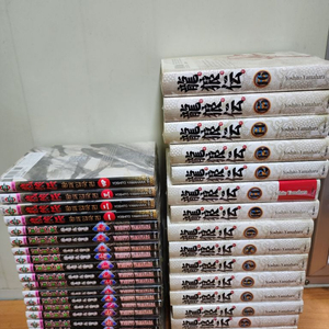 용랑전 일반판.애장판.왕패입국편