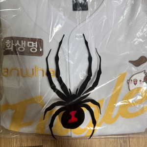 [95] 꿈돌이 어센틱 김서현 새상품