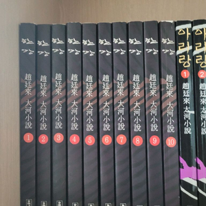 조정래 한강