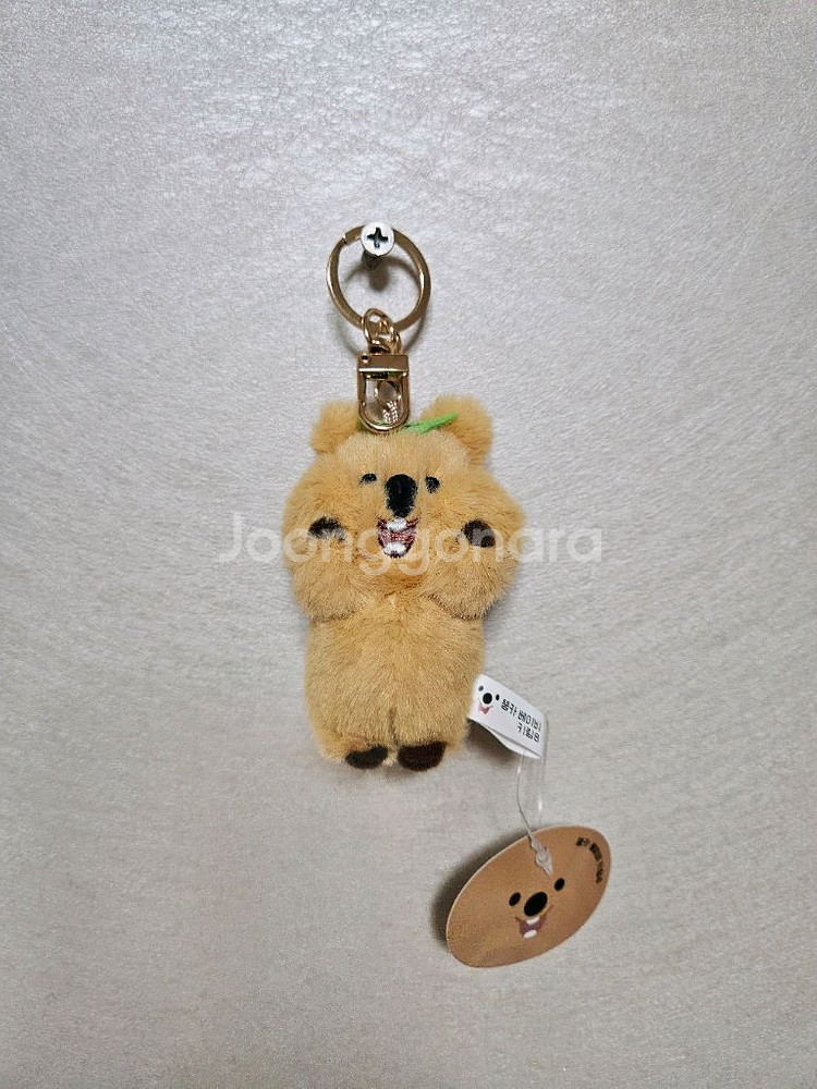 (당일발송) 뚱카 베이비 쿼카 키링 인형 열쇠고리--0