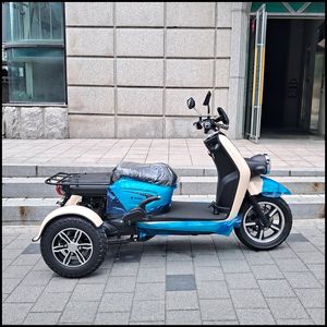 전기 삼륜 오토바이 정부보조금 받기