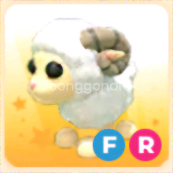 입양하세요 FR 숫양--0
