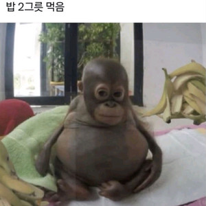 루이지노 사브레(도색)