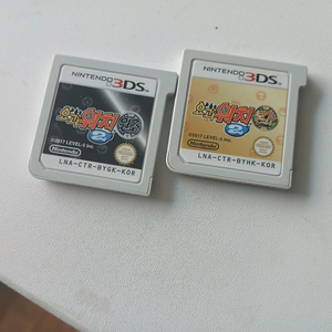 닌텐도 뉴 슈퍼 마리오브라더스 2 3DS, ds
