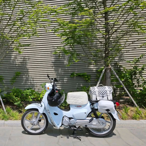 혼다 슈퍼커브 24년 5월 구매, 6432km (서울)