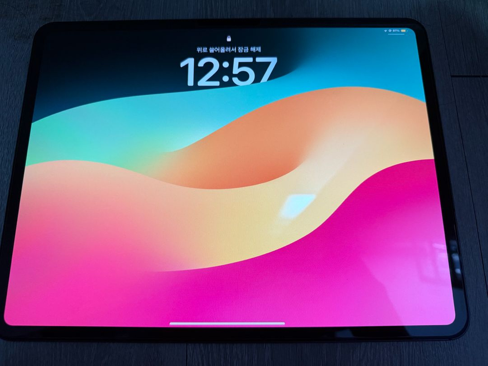 아이패드 프로 13 m4 512GB 이미지