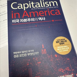 미국 자본주의의 역사