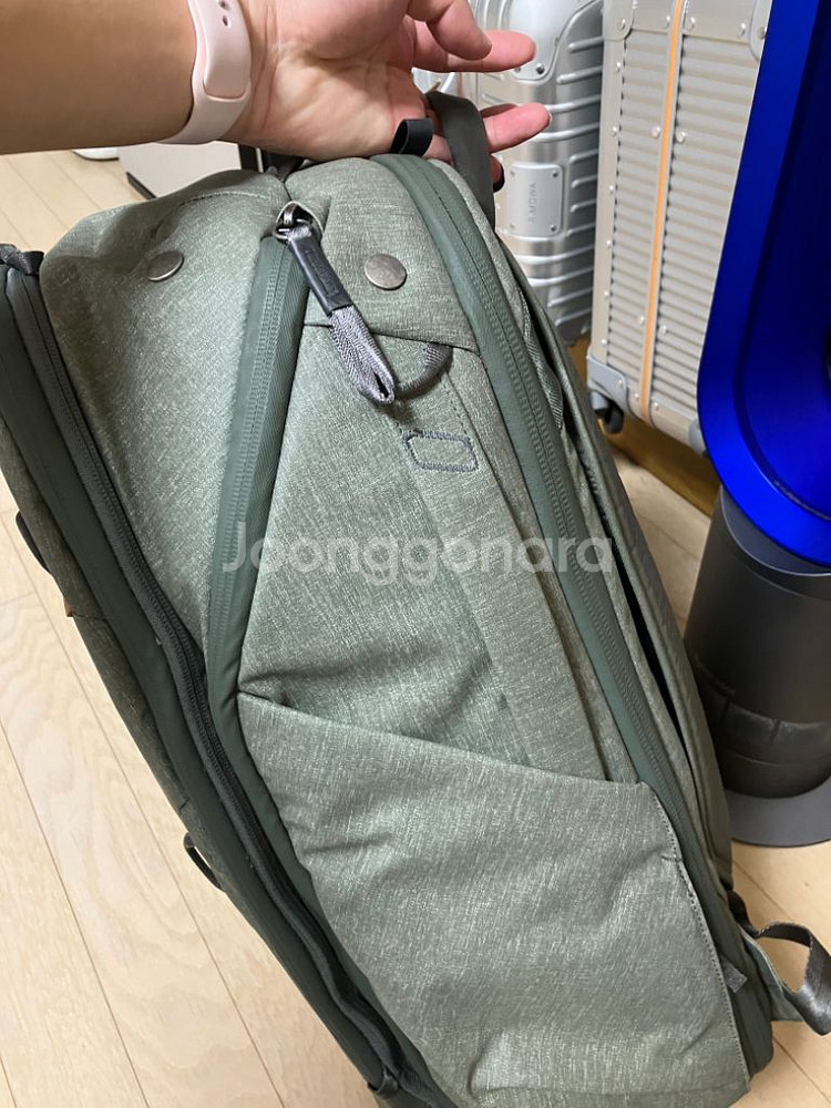 픽디자인 트레블 45L 세이지--4