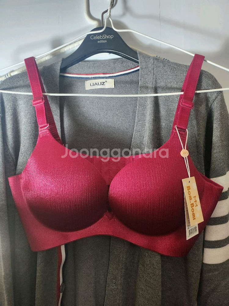 브레지어--1
