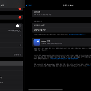 아이패드 M4 11인치 256gb 셀룰러+애플펜슬 프로