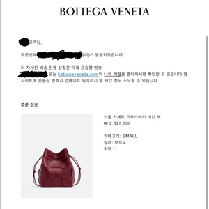 보테가베네타 스몰 버킷백 (정품)