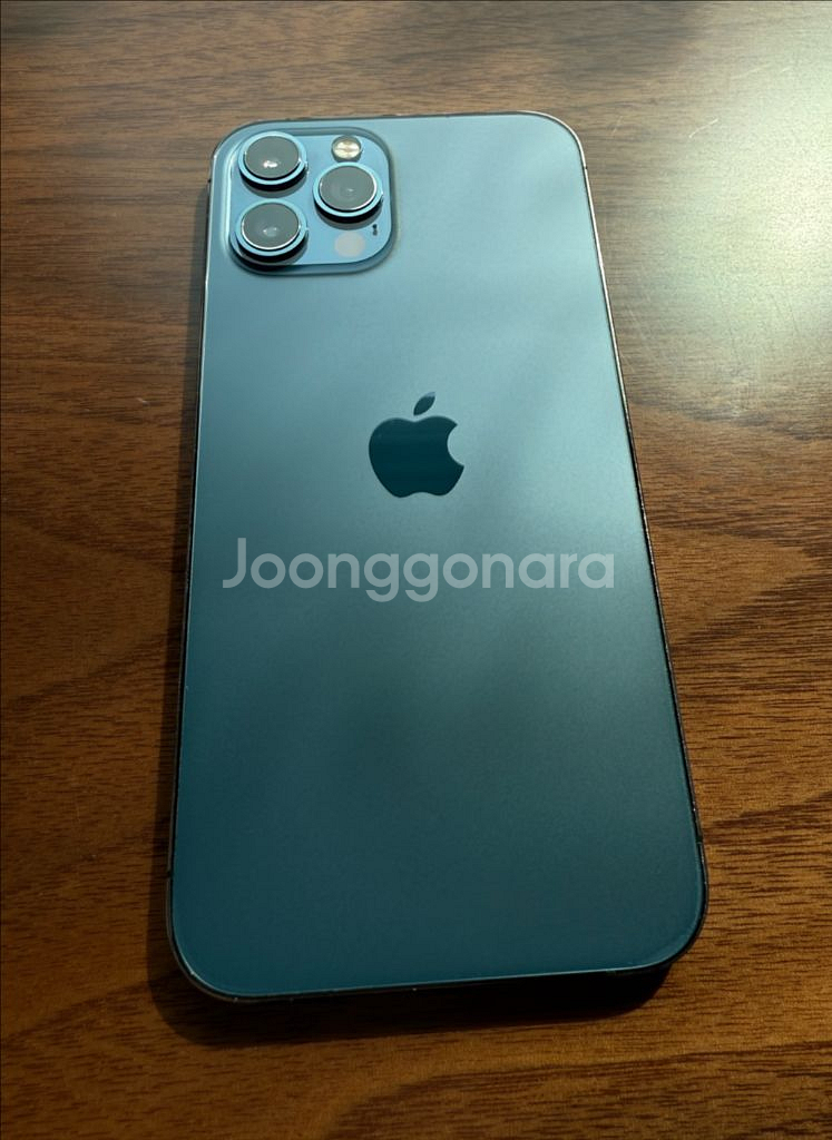 (자급제) 아이폰12 프로맥스 퍼시픽블루 256GB 팝--1