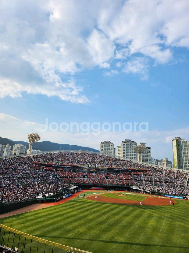 5/30~6/1 롯데 SSG 2연석/4연석 양도--0