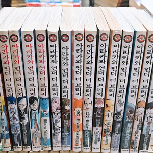 아라카와 언더더브리지