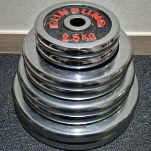 (택포) 50KG 은성 경량 크롬 원판 바벨 플레이트