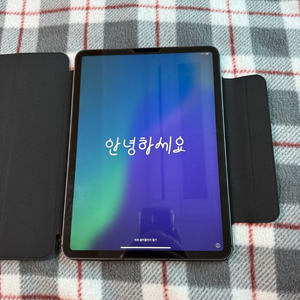 아이패드프로 11형 3세대 M1 셀룰러