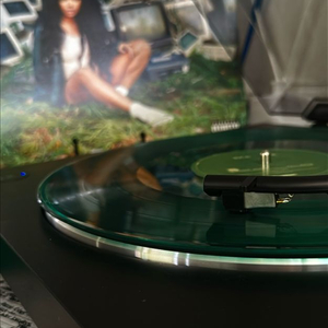 sza - ctrl lp 택포