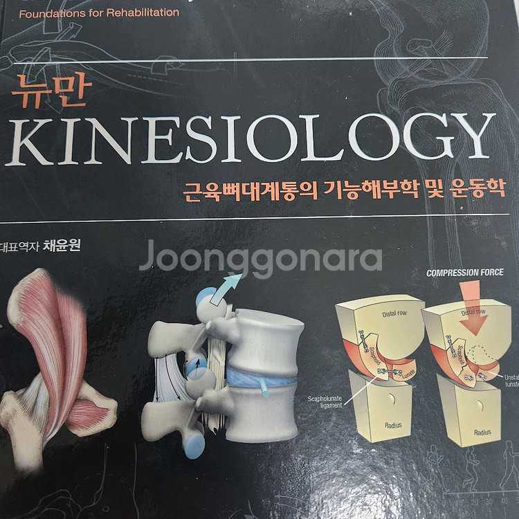뉴만 키네시올로지--0