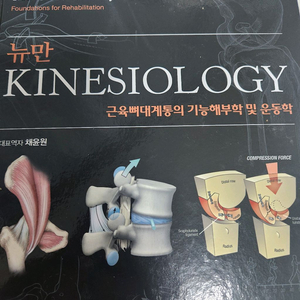 뉴만 키네시올로지