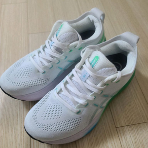 아식스 젤카야노31
