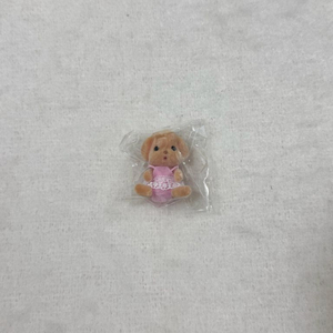실바니안 강아지 토이푸들