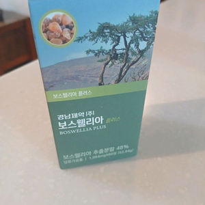 boswelia 플러스 60정