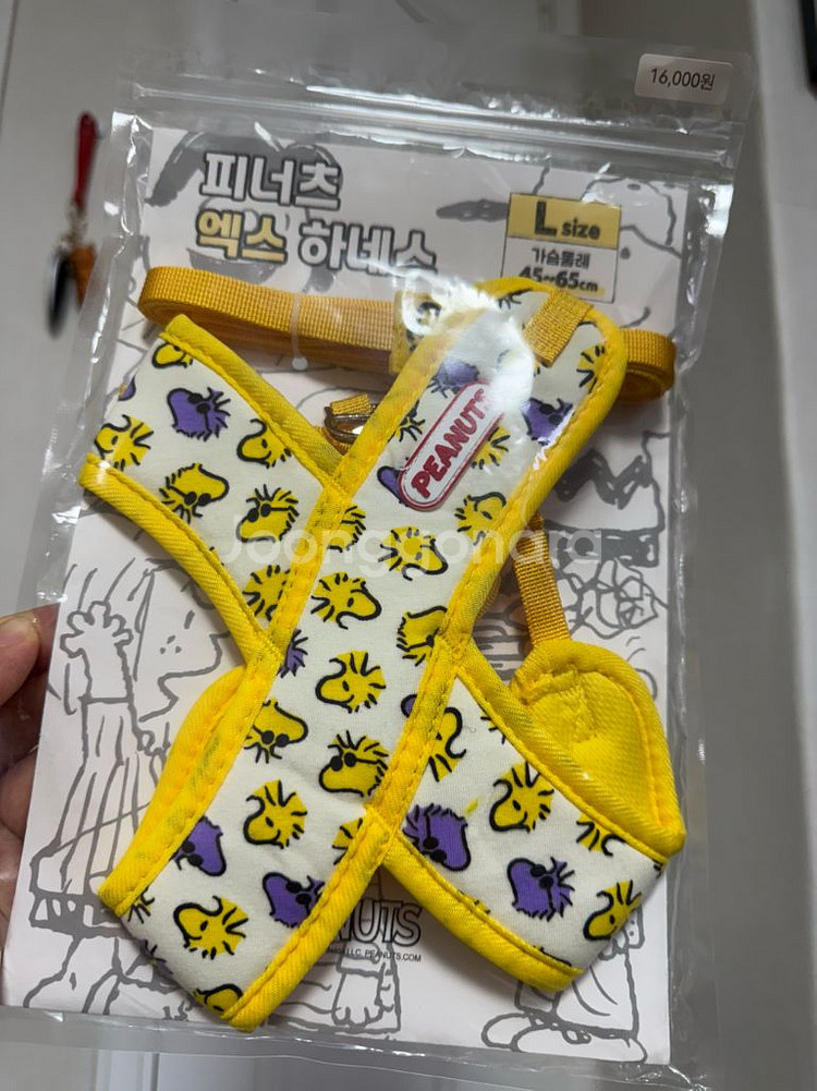 하네스--0