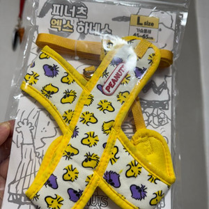 하네스