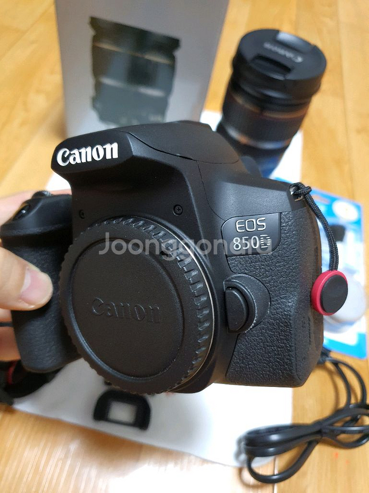 캐논 850D / 축복렌즈EF s 17-55 f/2.8--1