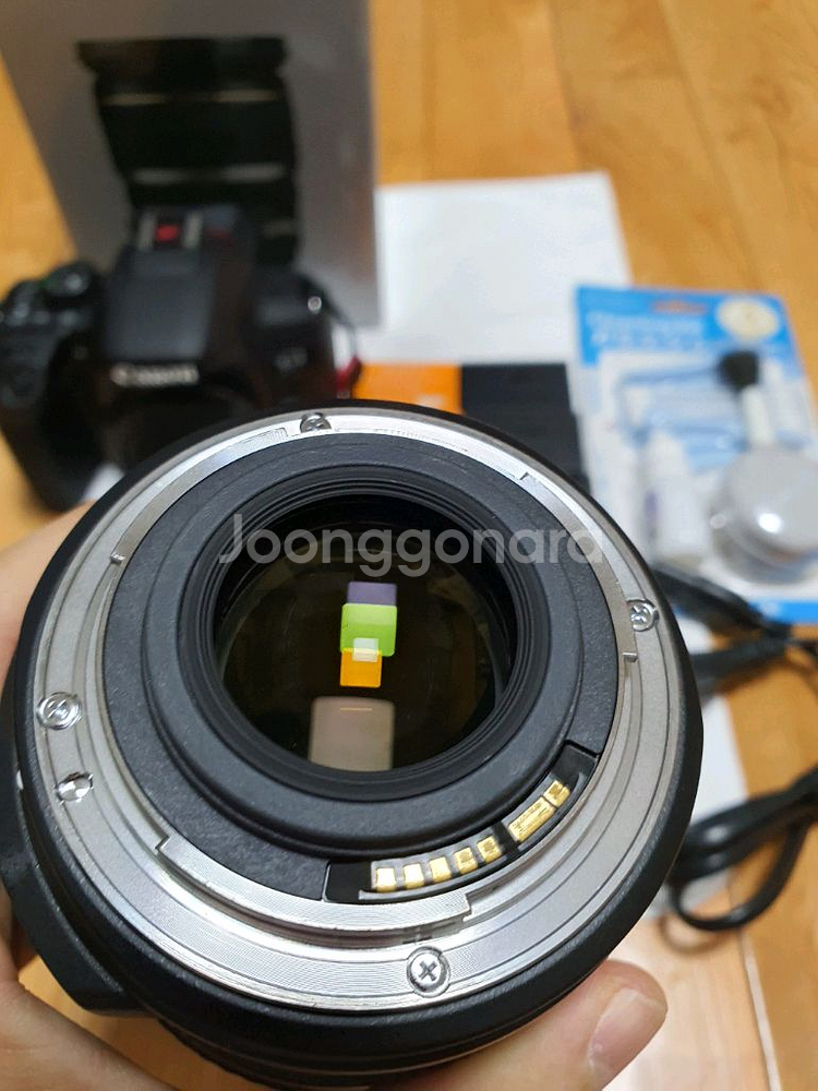 캐논 850D / 축복렌즈EF s 17-55 f/2.8--7