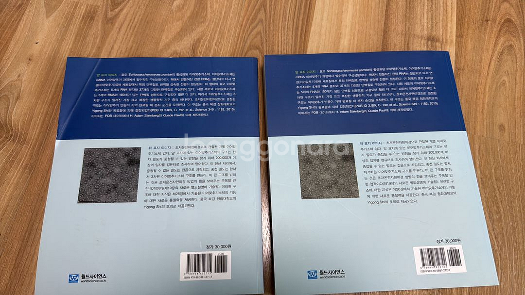 생화학 제7판 상,하--1