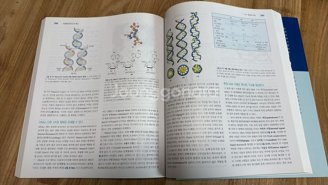 생화학 제7판 상,하--2