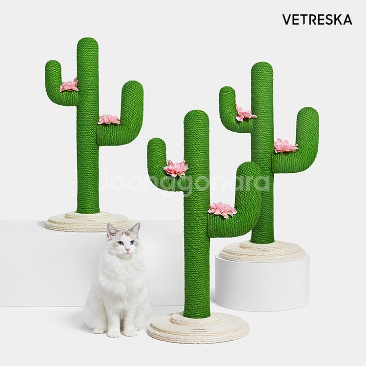 vetreska 선인장 고양이 스크래쳐 새상품--2