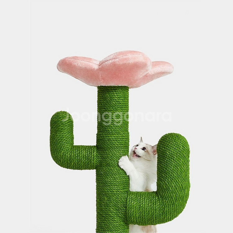 vetreska 선인장 고양이 스크래쳐 새상품--3