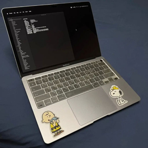 맥북에어2020 13형256GB CTO (i5-16G)
