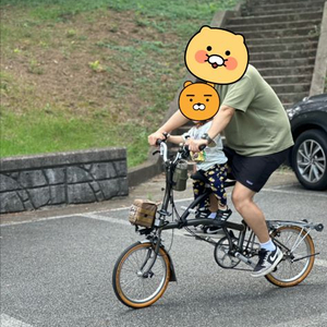 아이체어 보조안장 유아안장 브롬톤용 팝니다