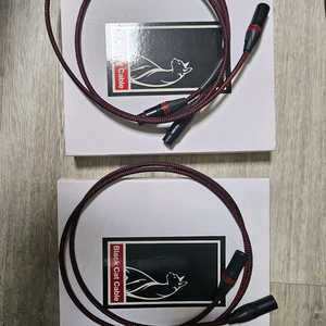블랙캣 3202 1m xlr