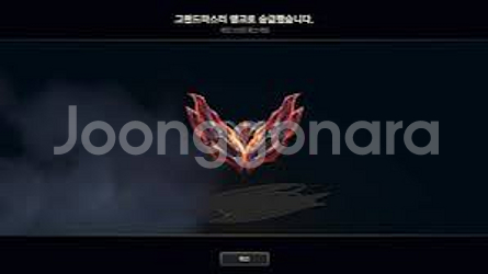 롤 그마 개인 듀오강의 맡김--0