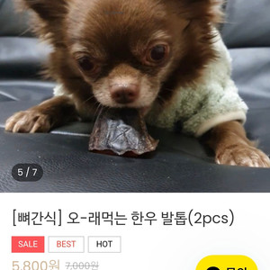 강아지 밀웜사료 및 수제 간식 모음