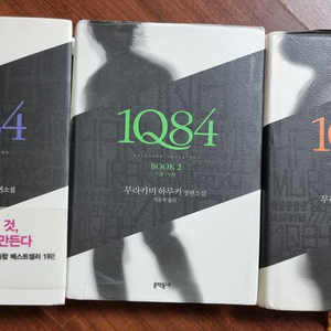 무라카미 하루키 장편 소설 1q84
