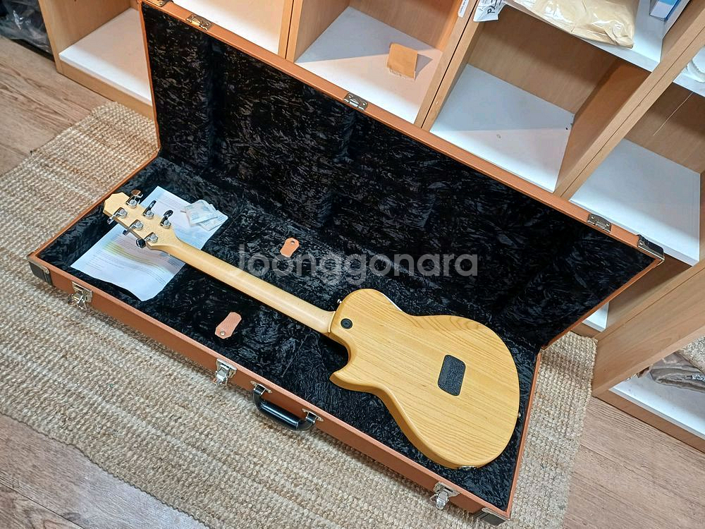 taylor solidbody classic(sbx)--2