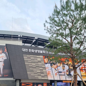 6.4 한화 KT 외야지정석 2연석