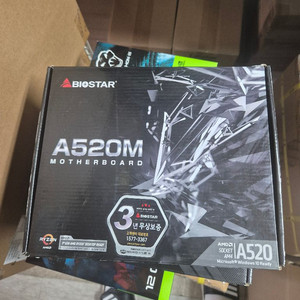 바이오스타 A520Ms
