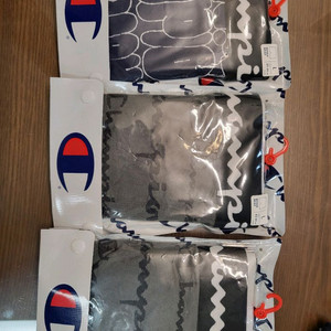 챔피온 팬티