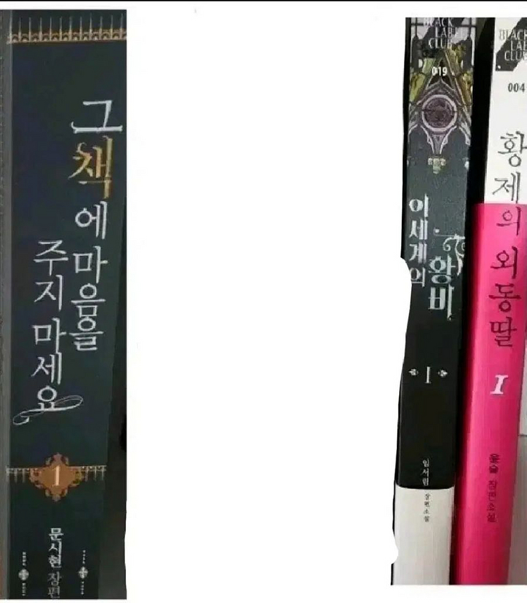(만화책과 교환 가능)일반소설, 라노벨, 만화책, 웹소--4